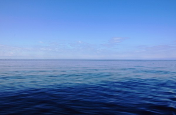Forever Blue by Deb Oppermann